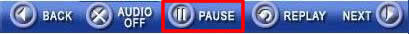 Pause Button